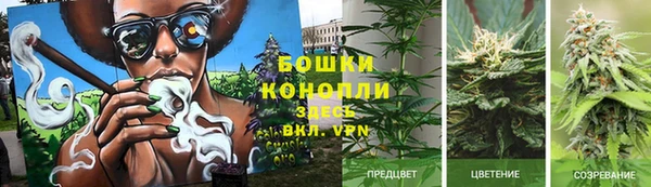 стафф Нея
