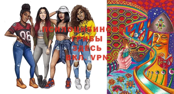 ПСИЛОЦИБИНОВЫЕ ГРИБЫ Покачи